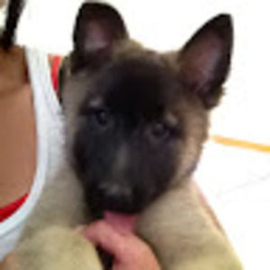 Meet your Posher, Erin